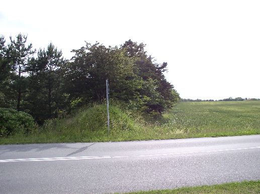 Ved Vandløsvej, 28. jun 2004, hvor banen forsvinder mod vest ad Hørby til