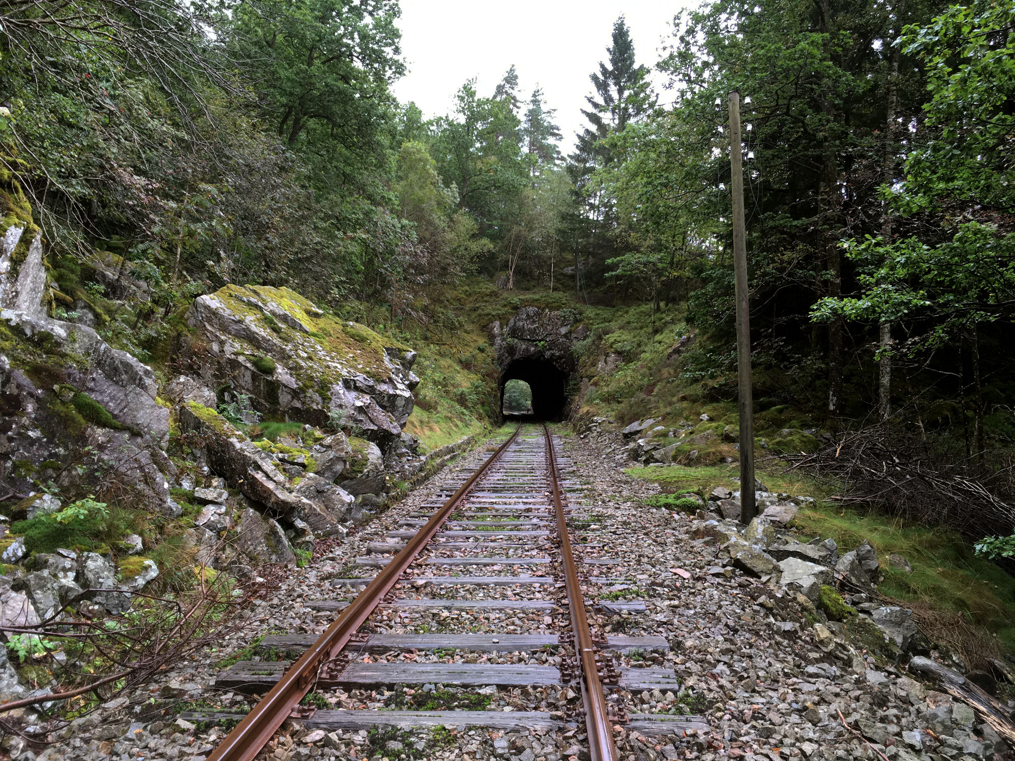 Tunnel efter Flekkeid
